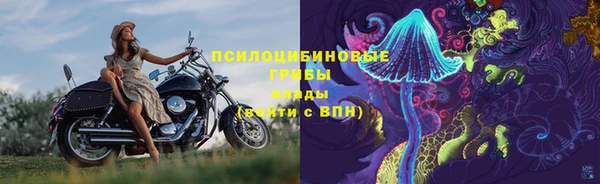 ALPHA PVP Белокуриха