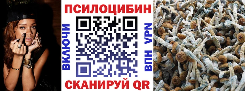 мориарти какой сайт  Оха  Галлюциногенные грибы прущие грибы  кракен зеркало 